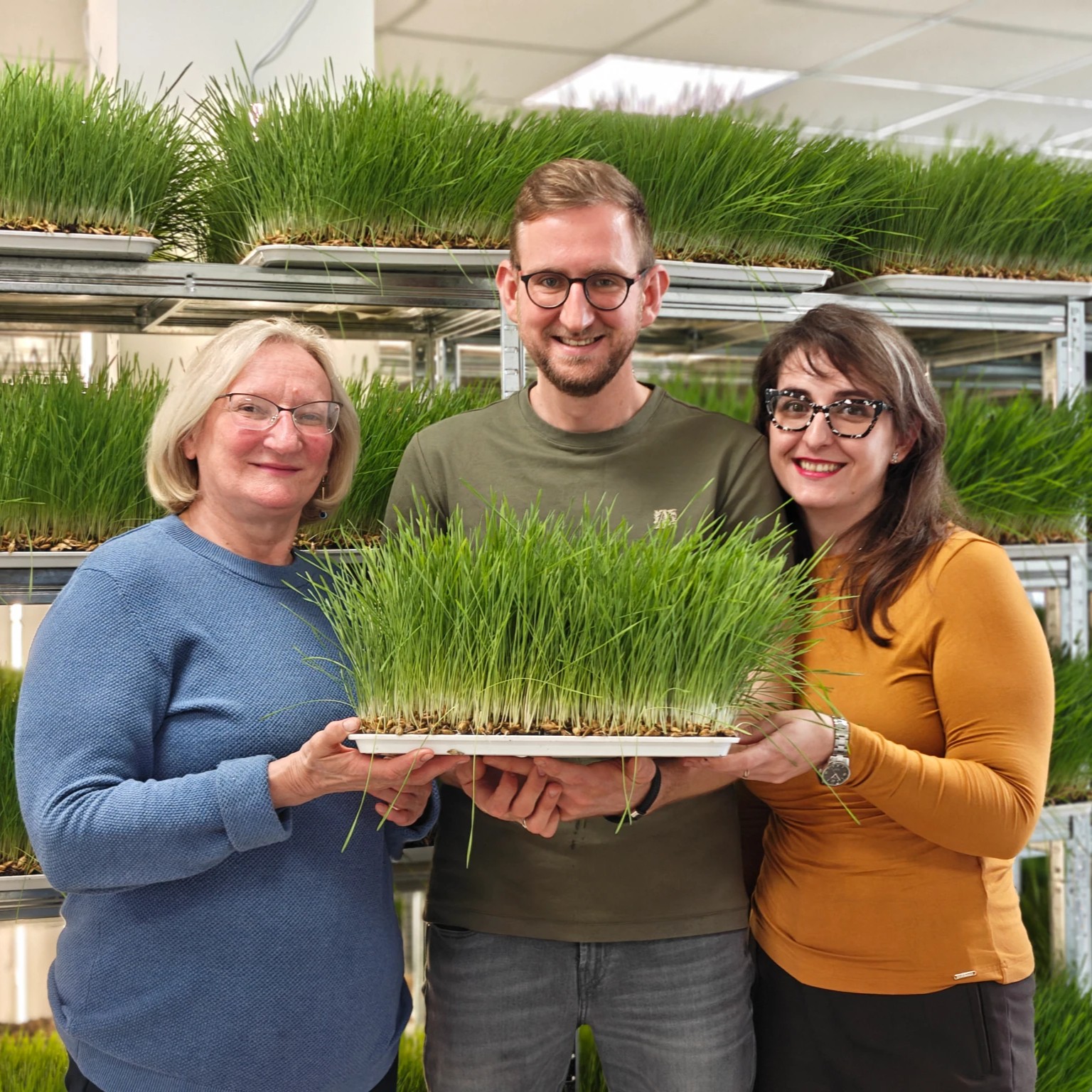 &nbsp;
&nbsp;
&nbsp;