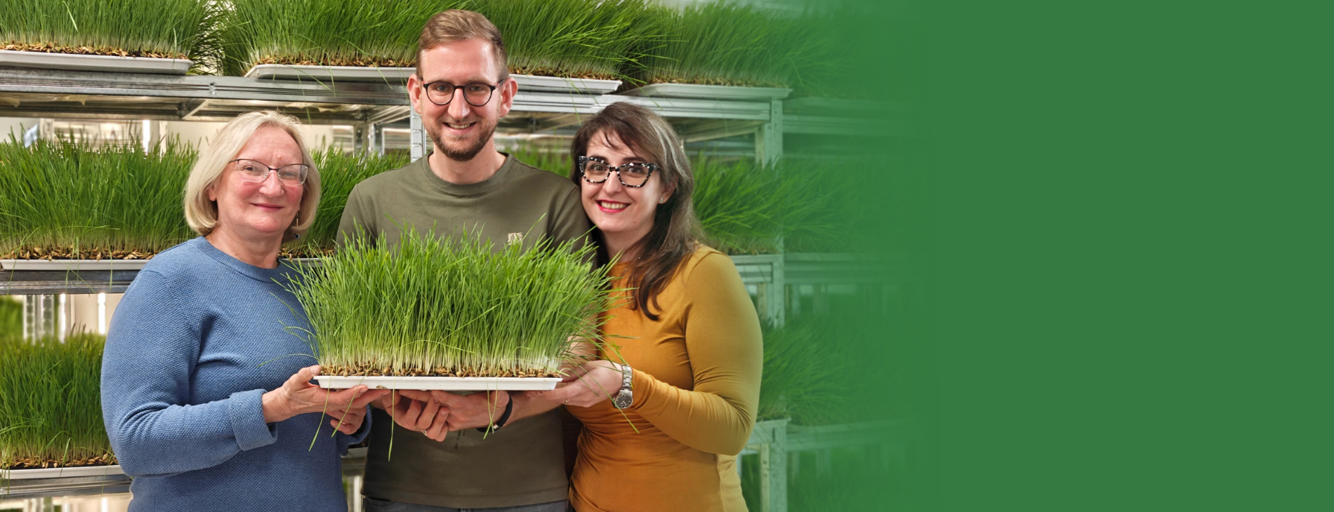 &nbsp;
&nbsp;
&nbsp;